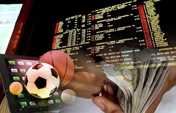 Descubra o Mundo das Apostas com 656bet Sua Plataforma de Jogos Favorita Descubra o Mundo das Apostas com 656bet Sua Plataforma de Jogos Favorita